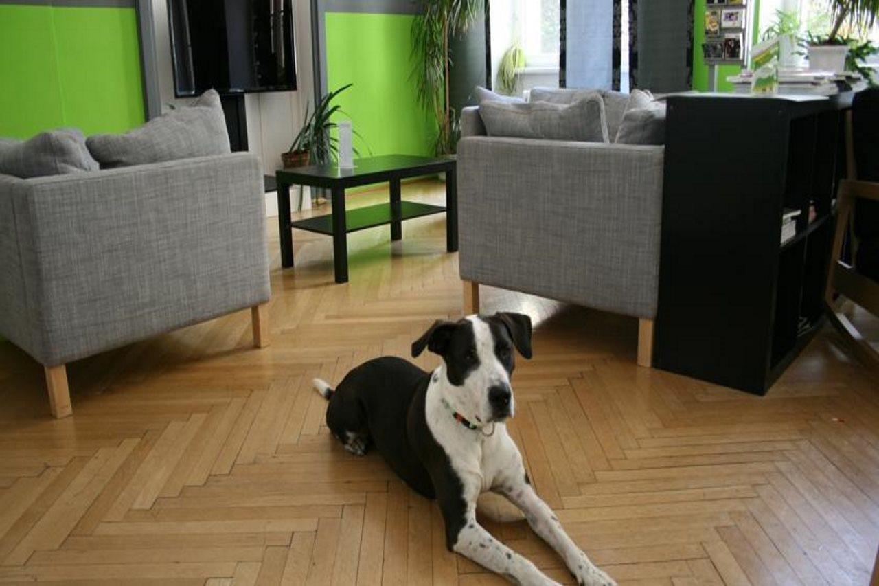 Hostel & Guesthouse Kaiser 23 Wien Ngoại thất bức ảnh
